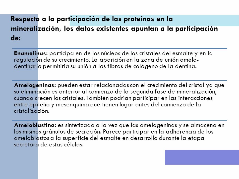 Respecto a la participación de las proteínas en la mineralización, los datos existentes apuntan a la participación de: