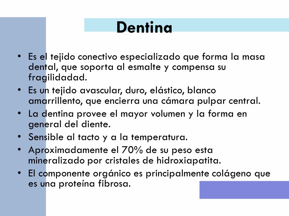 Dentina Es el tejido conectivo especializado que forma la masa dental, que soporta al esmalte y compensa su fragilidadad.