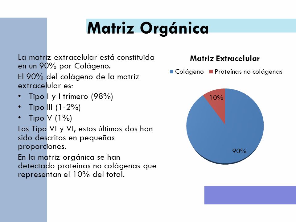 Matriz Orgánica La matriz extracelular está constituida en un 90% por Colágeno. El 90% del colágeno de la matriz extracelular es:
