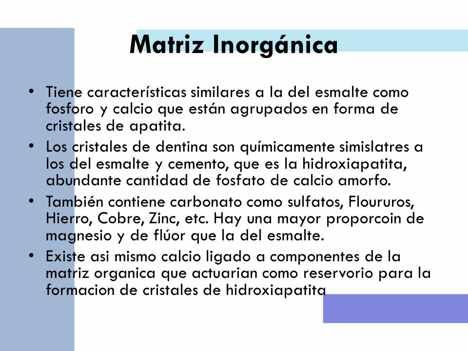 Matriz Inorgánica Tiene características similares a la del esmalte como fosforo y calcio que están agrupados en forma de cristales de apatita.