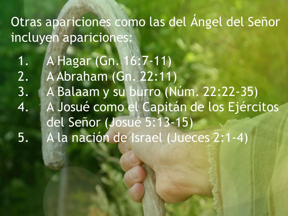 Otras apariciones como las del Ángel del Señor incluyen apariciones: