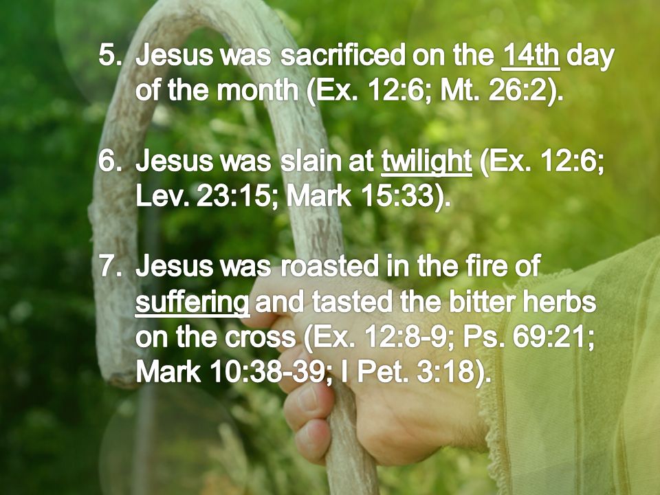 Jesus was slain at twilight (Ex. 12:6; Lev. 23:15; Mark 15:33).