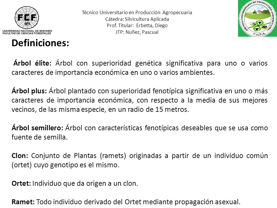 Técnico Universitario en Producción Agropecuaria Cátedra: Silvicultura Aplicada Prof. Titular: Erbetta, Diego JTP: Nuñez, Pascual