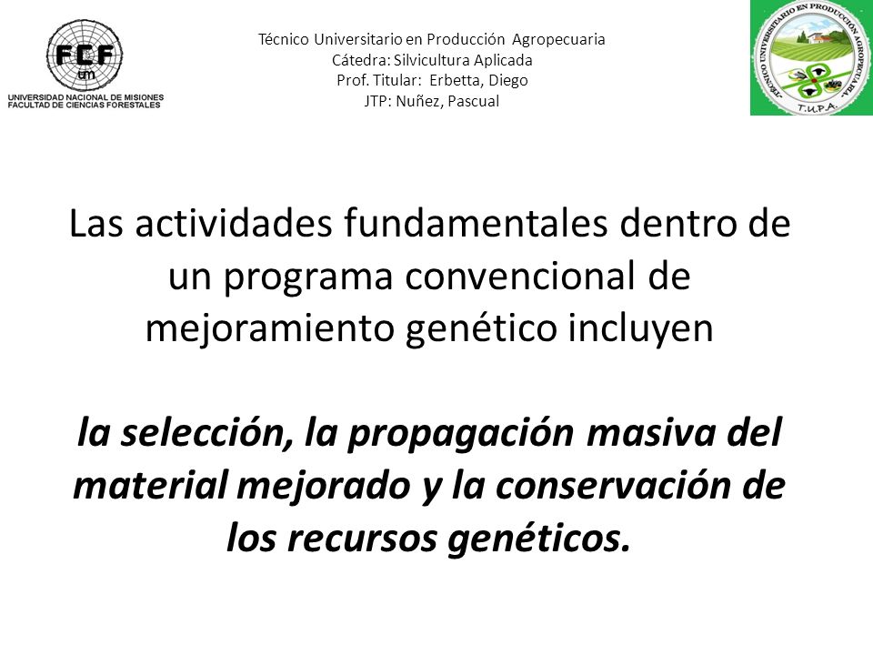 Técnico Universitario en Producción Agropecuaria Cátedra: Silvicultura Aplicada Prof. Titular: Erbetta, Diego JTP: Nuñez, Pascual