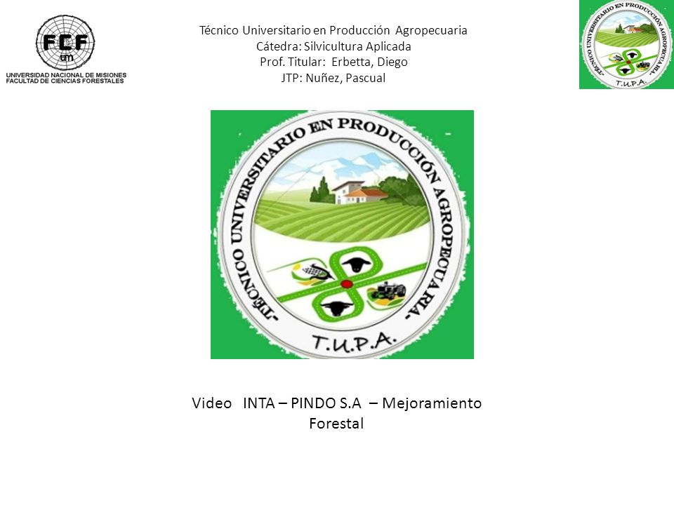 Video INTA – PINDO S.A – Mejoramiento Forestal