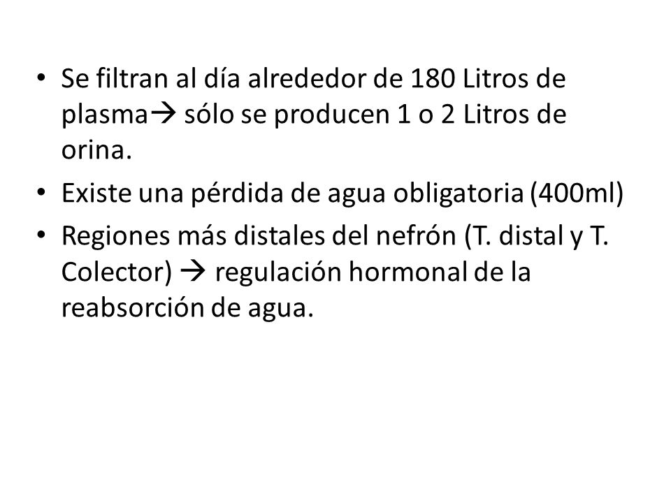 Se filtran al día alrededor de 180 Litros de plasma sólo se producen 1 o 2 Litros de orina.