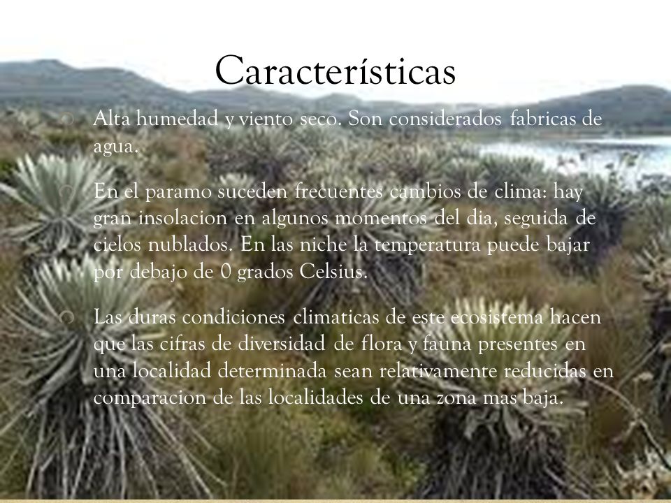 Características Alta humedad y viento seco. Son considerados fabricas de agua.