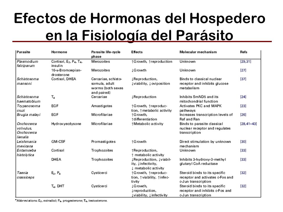 Efectos de Hormonas del Hospedero en la Fisiología del Parásito