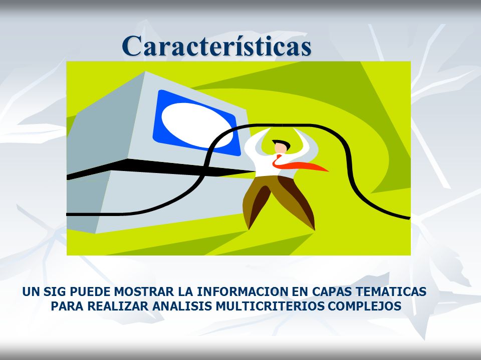 Características UN SIG PUEDE MOSTRAR LA INFORMACION EN CAPAS TEMATICAS