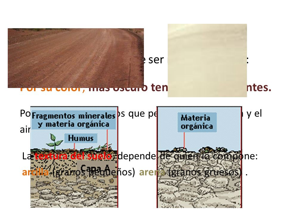 El tipo del suelo puede ser reconocido por: