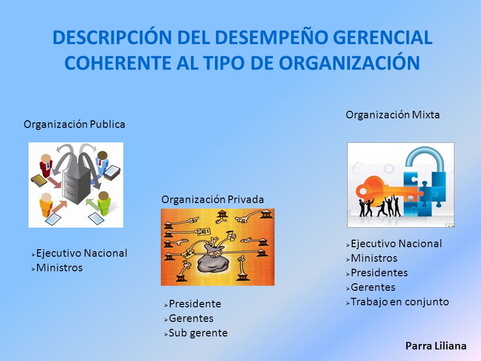 DESCRIPCIÓN DEL DESEMPEÑO GERENCIAL COHERENTE AL TIPO DE ORGANIZACIÓN