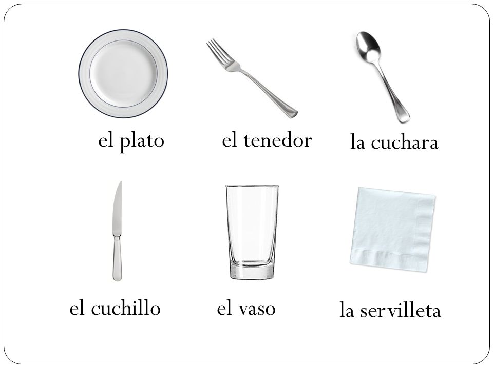 el plato el tenedor la cuchara el cuchillo el vaso la servilleta
