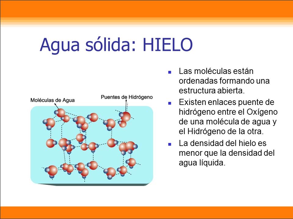 Agua sólida: HIELO Las moléculas están ordenadas formando una estructura abierta.