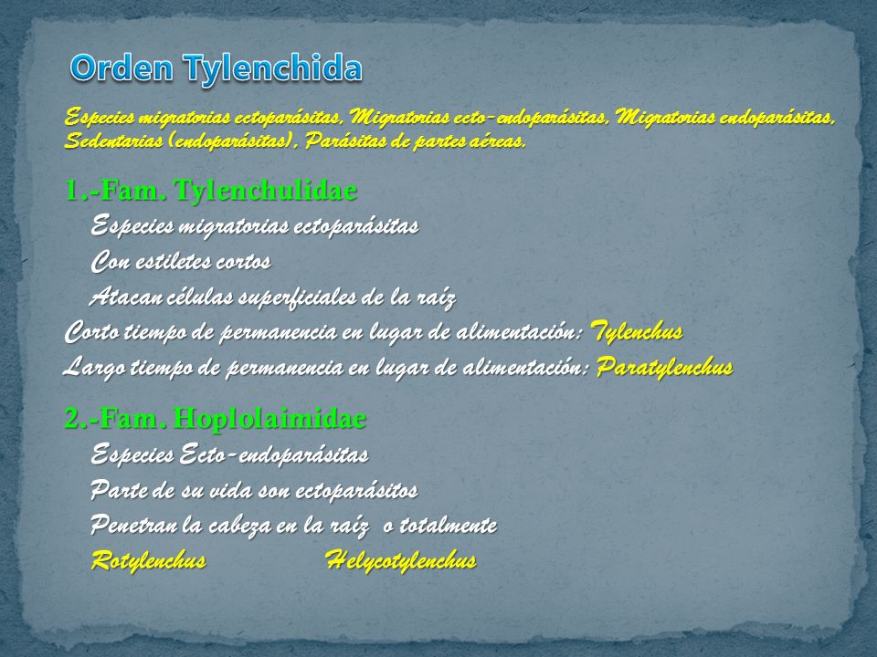 Orden Tylenchida 1.-Fam. Tylenchulidae Con estiletes cortos