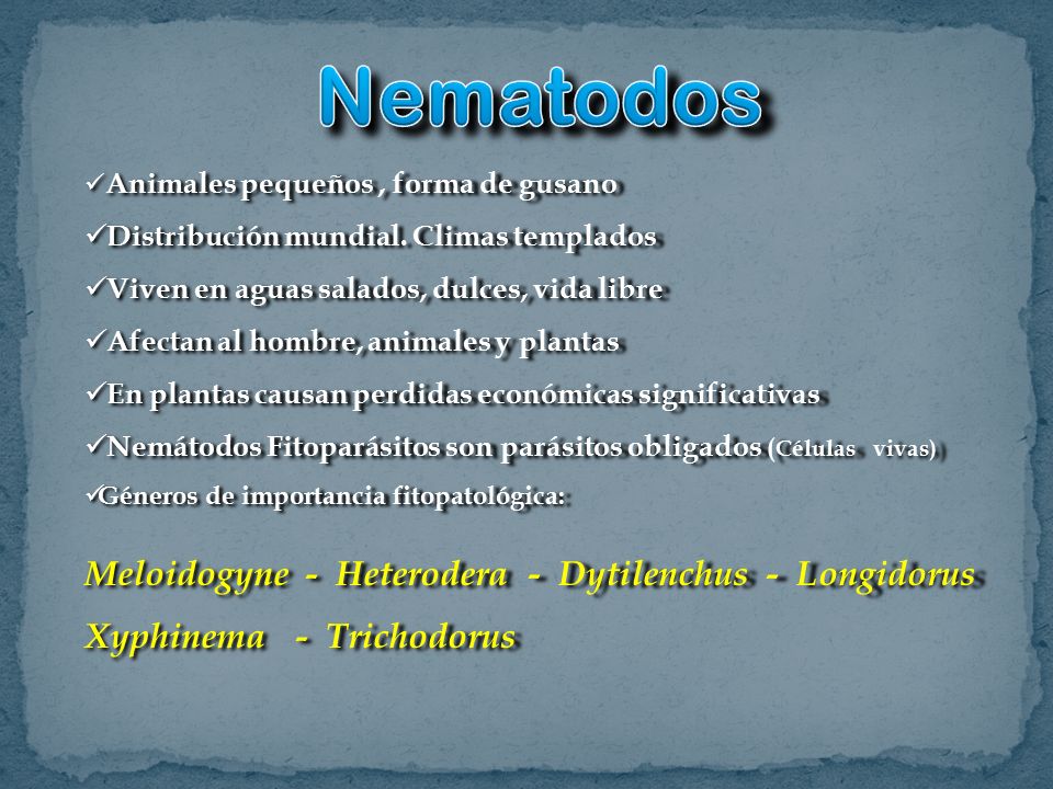 Nematodos Animales pequeños , forma de gusano. Distribución mundial. Climas templados. Viven en aguas salados, dulces, vida libre.