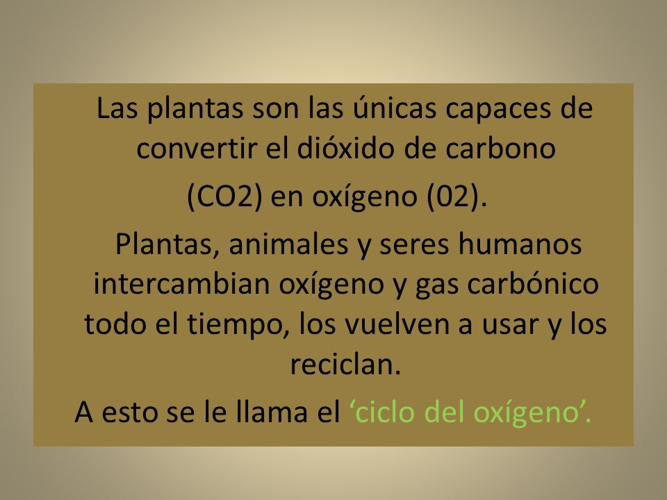Las plantas son las únicas capaces de convertir el dióxido de carbono