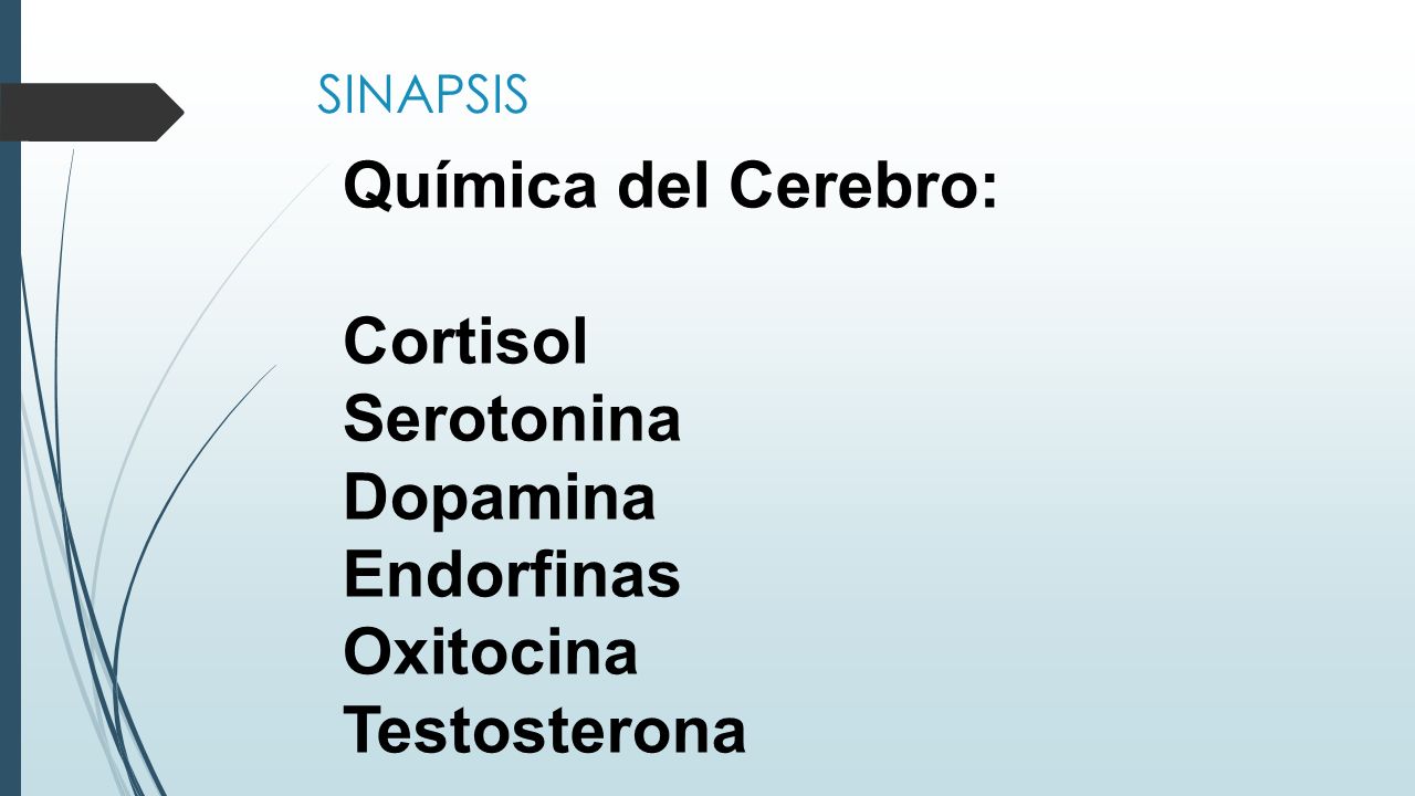 Química del Cerebro: Cortisol Serotonina Dopamina Endorfinas Oxitocina