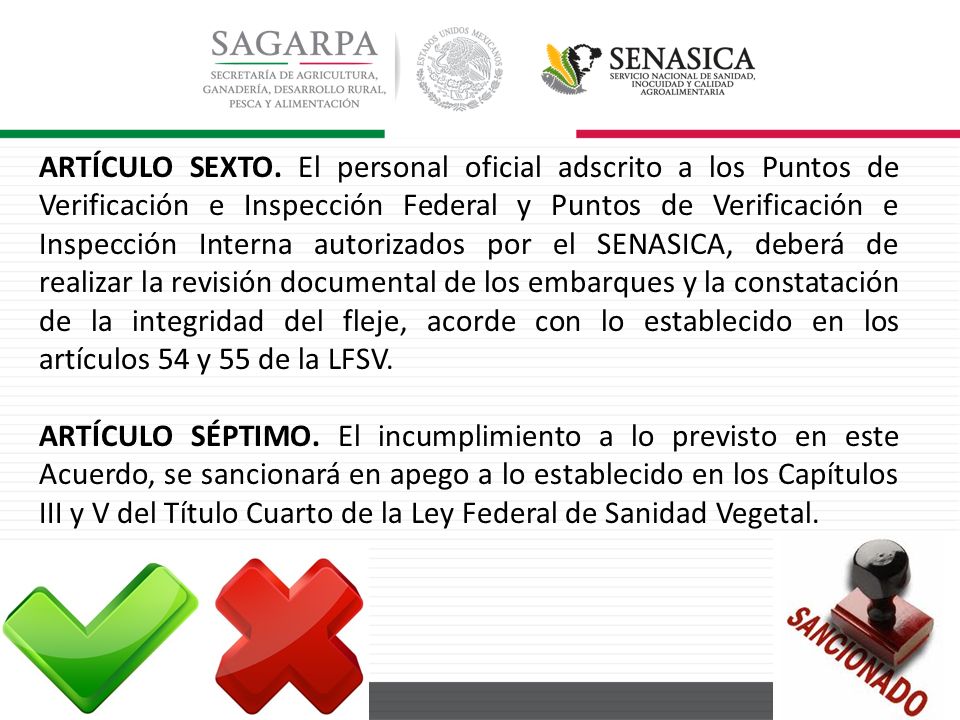 ARTÍCULO SEXTO. El personal oficial adscrito a los Puntos de Verificación e Inspección Federal y Puntos de Verificación e Inspección Interna autorizados por el SENASICA, deberá de realizar la revisión documental de los embarques y la constatación de la integridad del fleje, acorde con lo establecido en los artículos 54 y 55 de la LFSV.