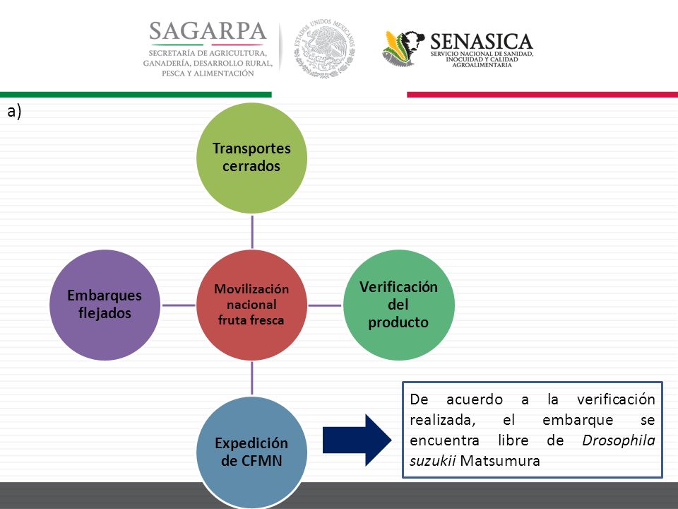 Movilización nacional fruta fresca Verificación del producto