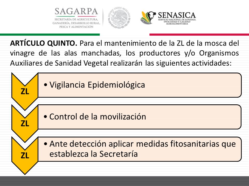 ARTÍCULO QUINTO. Para el mantenimiento de la ZL de la mosca del vinagre de las alas manchadas, los productores y/o Organismos Auxiliares de Sanidad Vegetal realizarán las siguientes actividades: