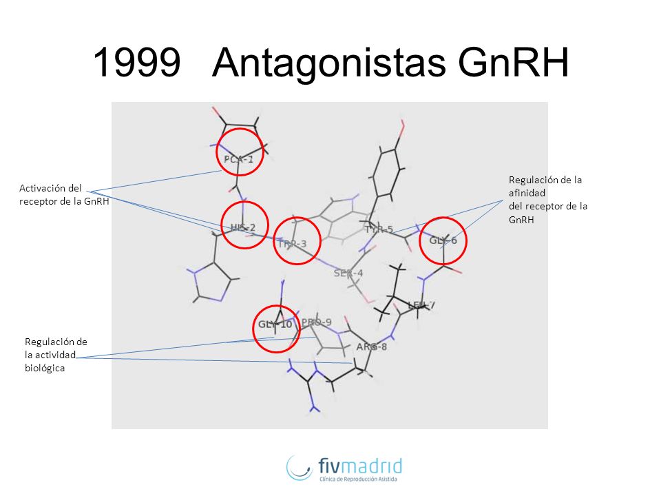 1999 Antagonistas GnRH Regulación de la afinidad Activación del