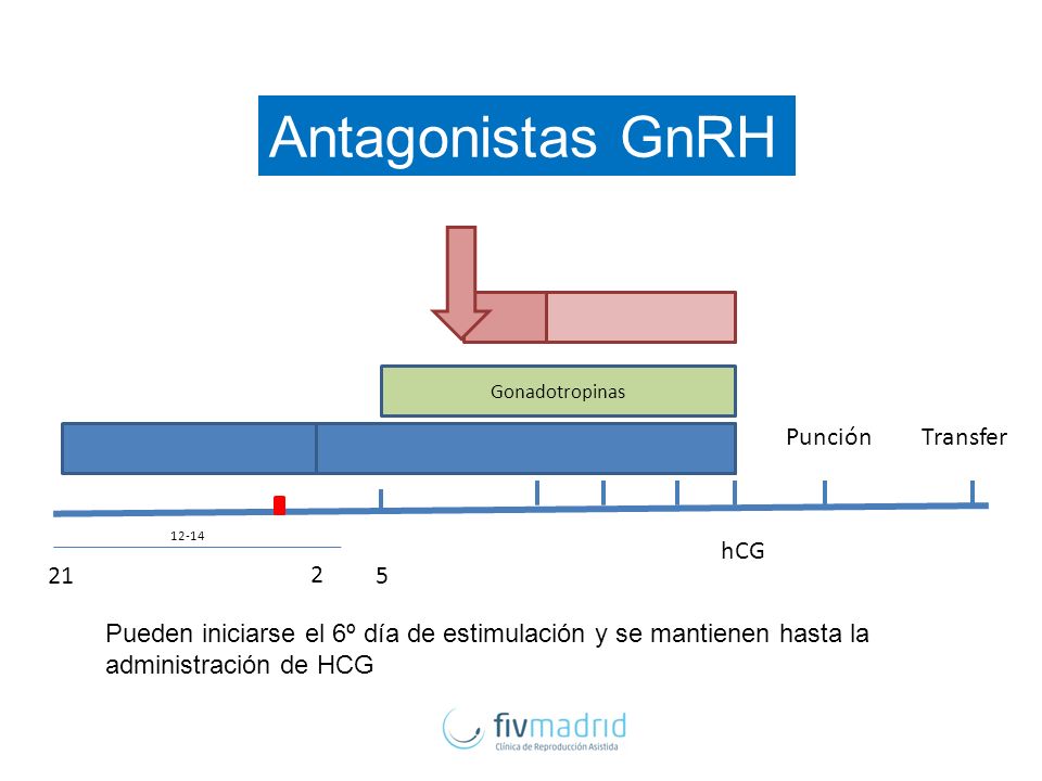 Antagonistas GnRH Punción Transfer hCG