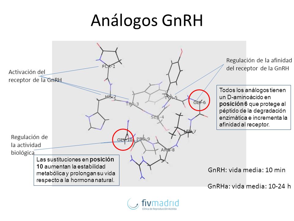 Análogos GnRH GnRH: vida media: 10 min GnRHa: vida media: h