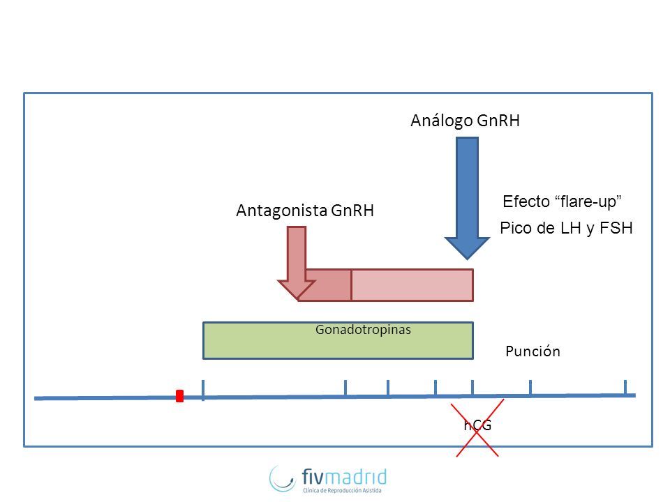Análogo GnRH Antagonista GnRH Efecto flare-up Pico de LH y FSH