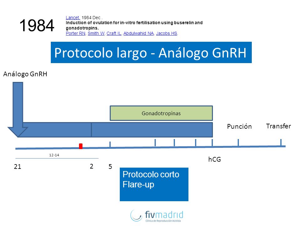 1984 Protocolo largo - Análogo GnRH Protocolo corto Flare-up
