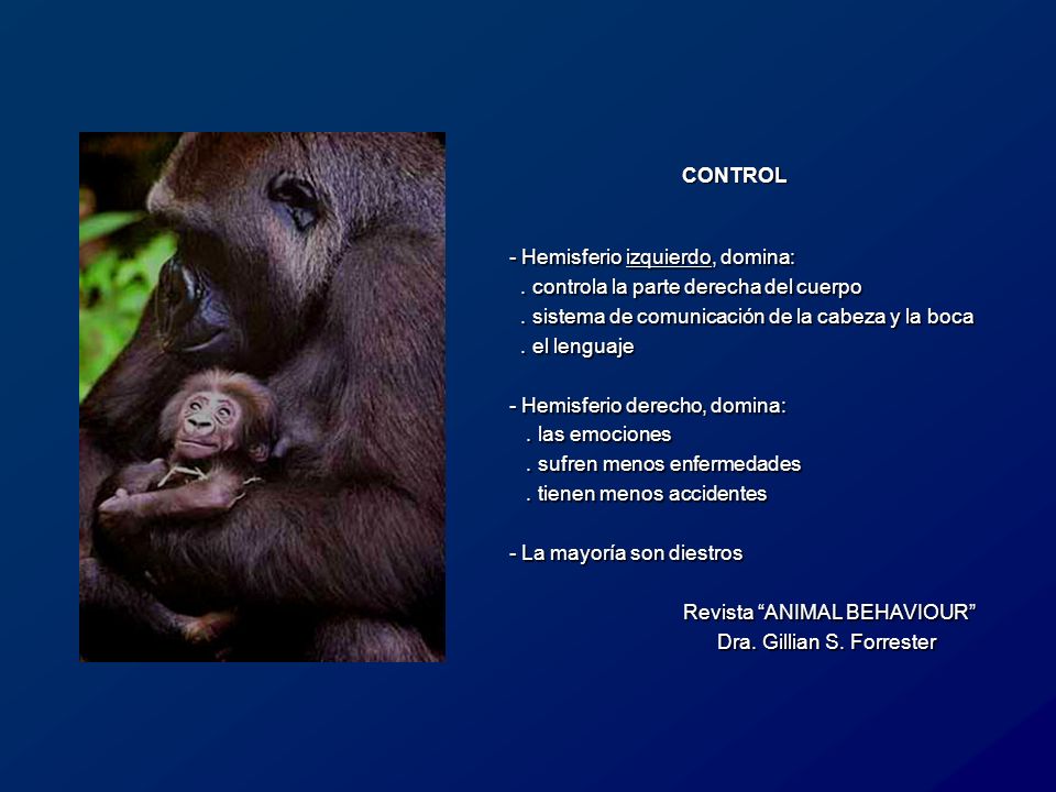 CONTROL Hemisferio izquierdo, domina: . controla la parte derecha del cuerpo. . sistema de comunicación de la cabeza y la boca.
