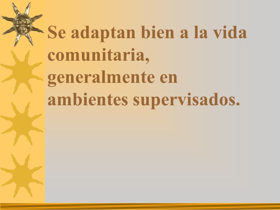 Se adaptan bien a la vida comunitaria, generalmente en ambientes supervisados.