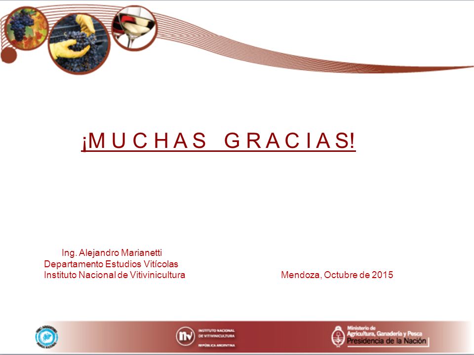 ¡M U C H A S G R A C I A S! Ing. Alejandro Marianetti