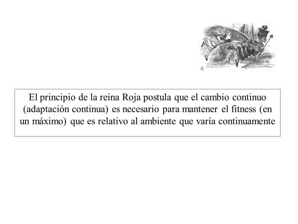 El principio de la reina Roja postula que el cambio continuo (adaptación continua) es necesario para mantener el fitness (en un máximo) que es relativo al ambiente que varía continuamente