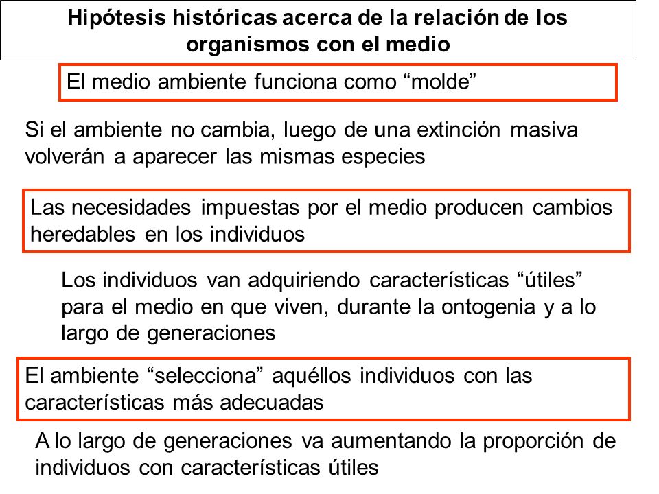 Hipótesis históricas acerca de la relación de los organismos con el medio