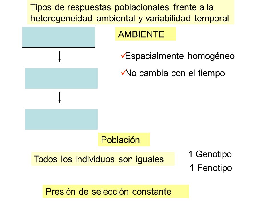 Tipos de respuestas poblacionales frente a la heterogeneidad ambiental y variabilidad temporal