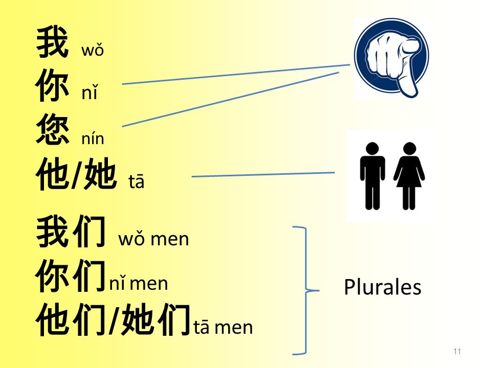 我 wǒ 你 nǐ 您 nín 他/她 tā 我们 wǒ men 你们nǐ men 他们/她们tā men Plurales