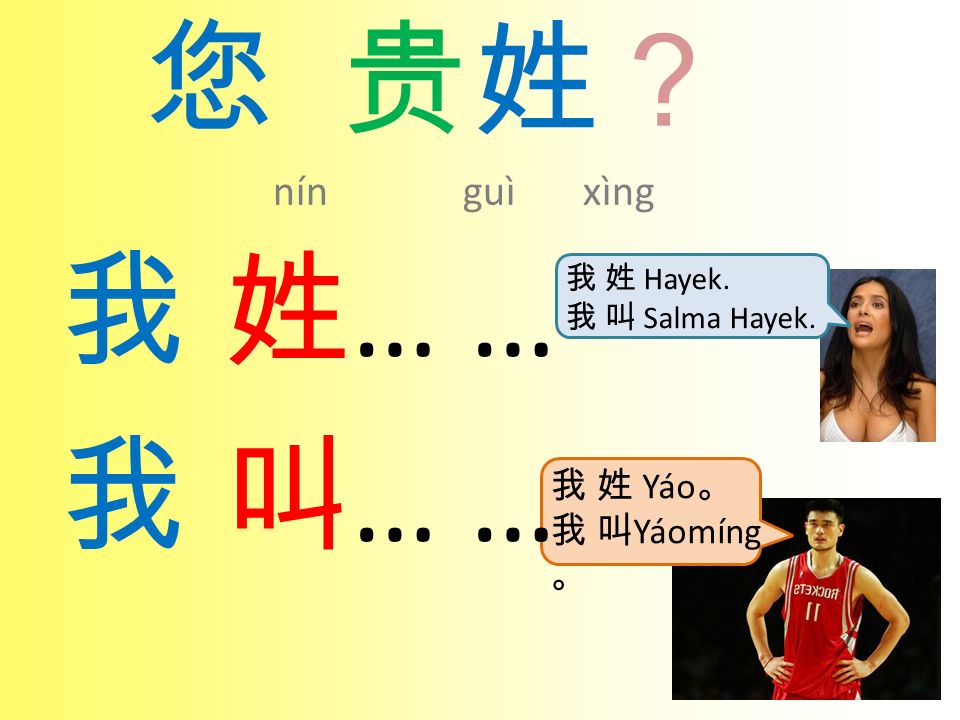 您 贵姓？ nín guì xìng 我 姓… … 我 叫… … 我 姓 Yáo。 我 叫Yáomíng 。 我 姓 Hayek.