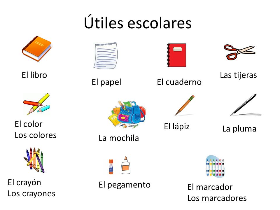 Útiles escolares El libro Las tijeras El papel El cuaderno El color