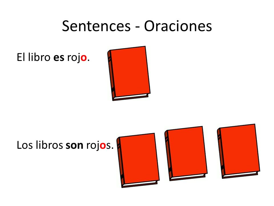 Sentences - Oraciones El libro es rojo. Los libros son rojos.