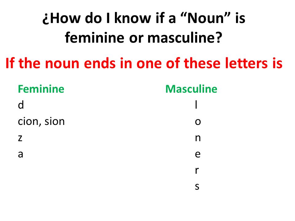 ¿How do I know if a Noun is feminine or masculine