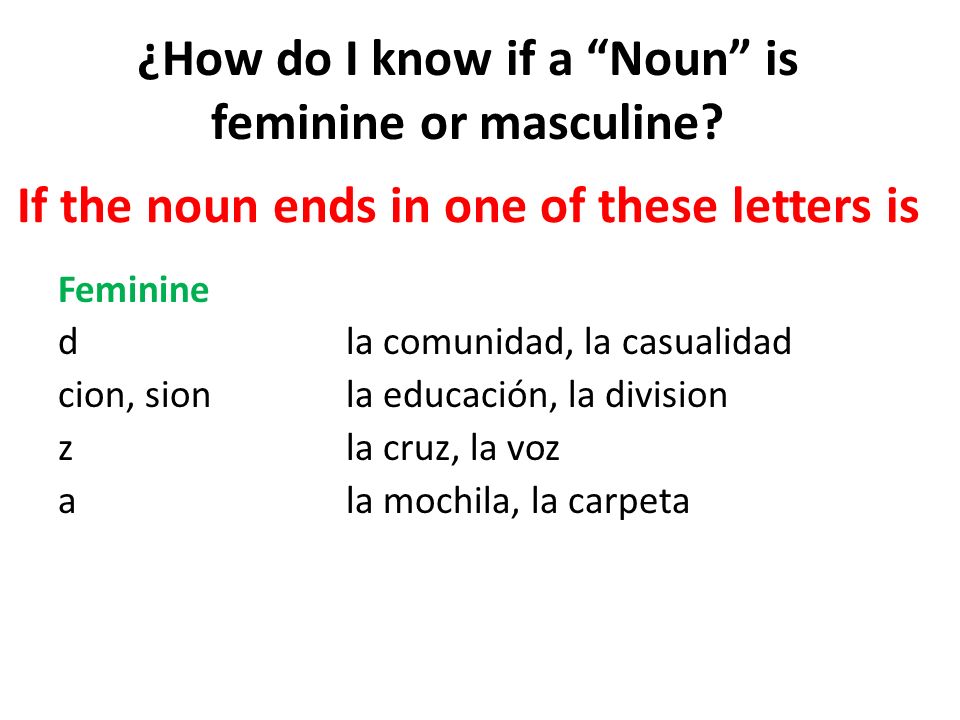 ¿How do I know if a Noun is feminine or masculine