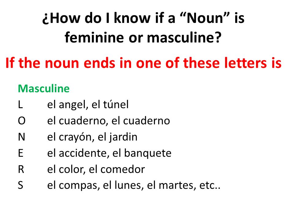 ¿How do I know if a Noun is feminine or masculine