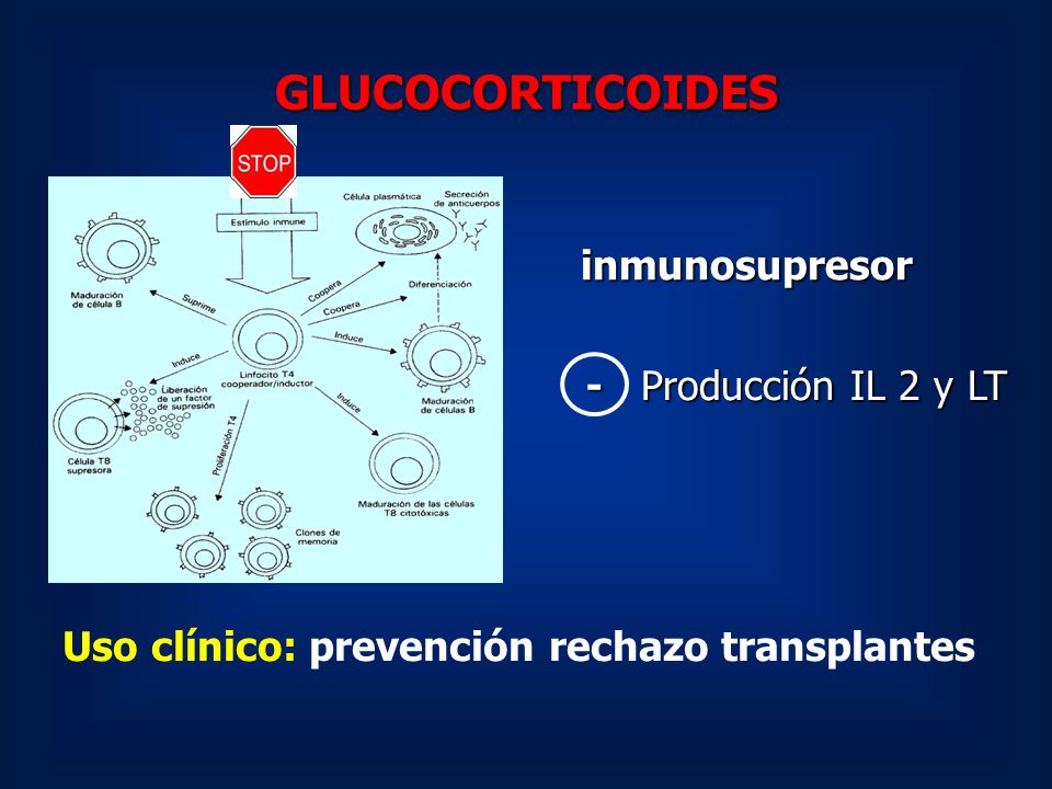 GLUCOCORTICOIDES inmunosupresor - Producción IL 2 y LT