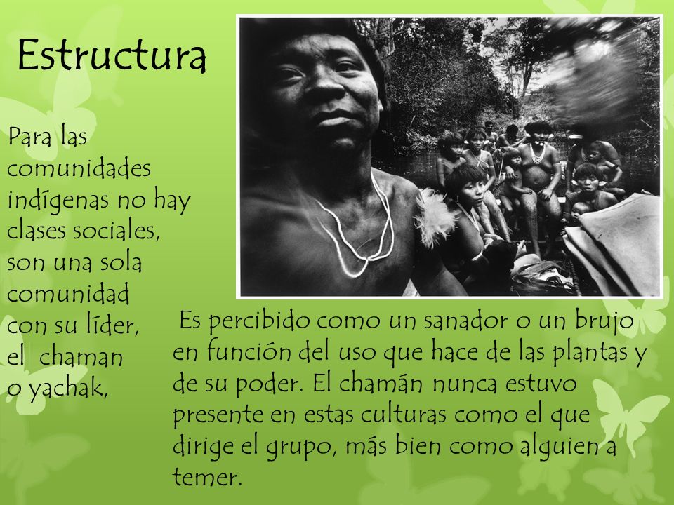 Estructura Para las comunidades indígenas no hay clases sociales, son una sola comunidad con su líder, el chaman o yachak,
