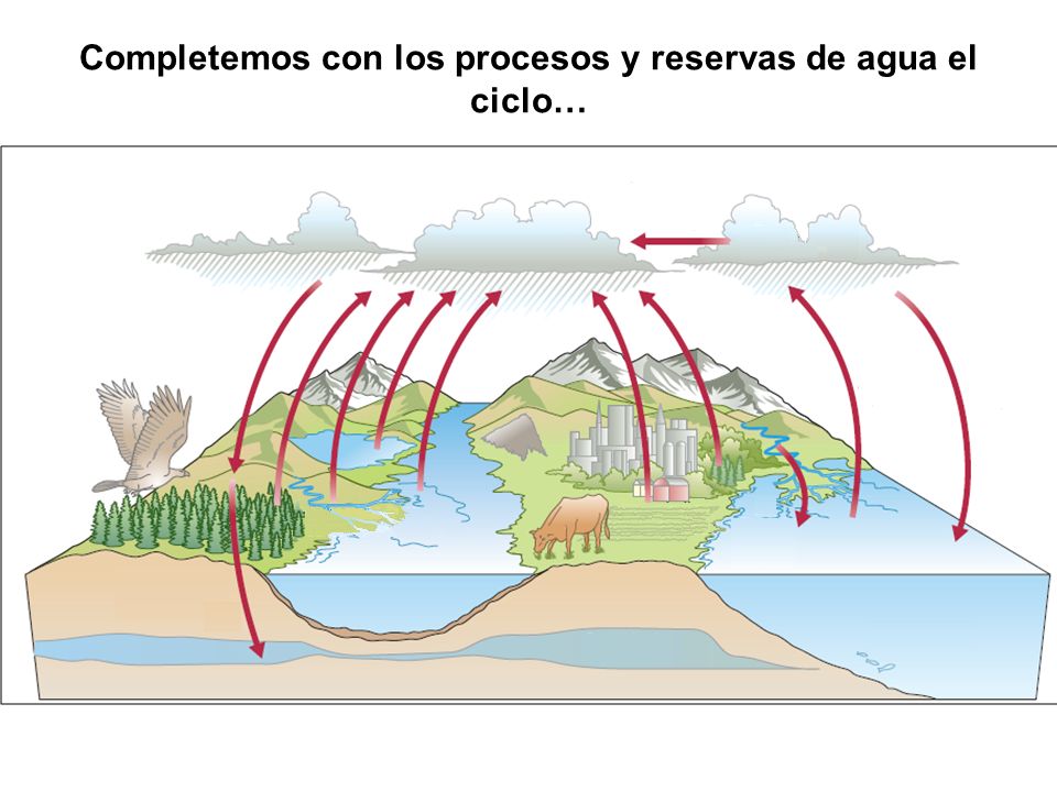 Completemos con los procesos y reservas de agua el ciclo…
