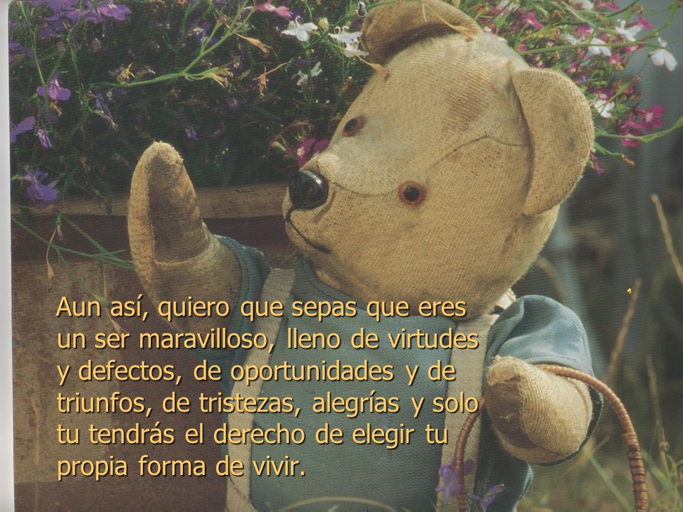 Aun así, quiero que sepas que eres un ser maravilloso, lleno de virtudes y defectos, de oportunidades y de triunfos, de tristezas, alegrías y solo tu tendrás el derecho de elegir tu propia forma de vivir.