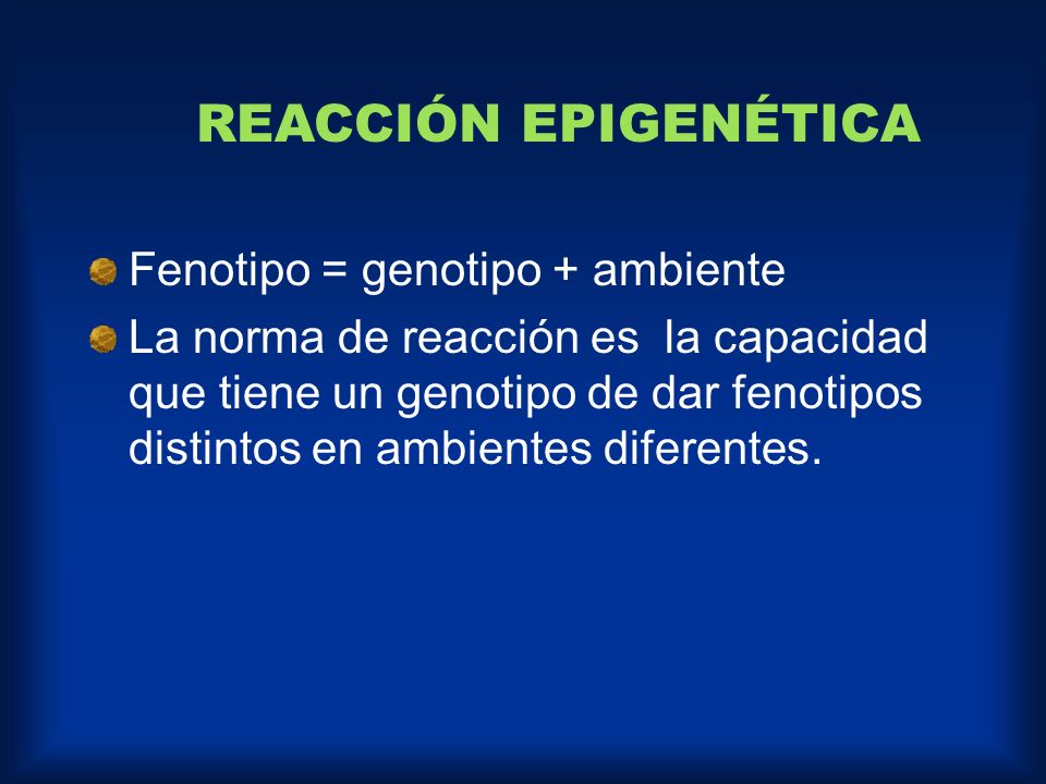 REACCIÓN EPIGENÉTICA Fenotipo = genotipo + ambiente