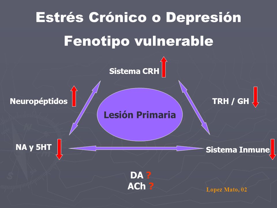Estrés Crónico o Depresión Fenotipo vulnerable