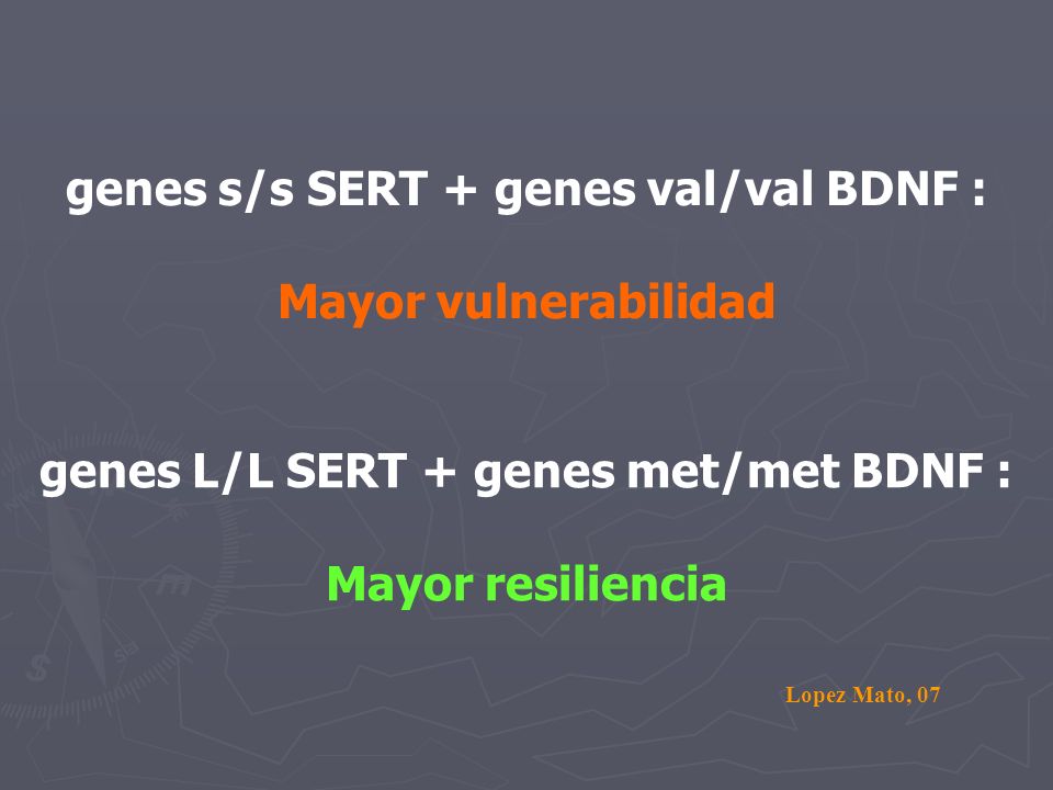 genes s/s SERT + genes val/val BDNF : Mayor vulnerabilidad