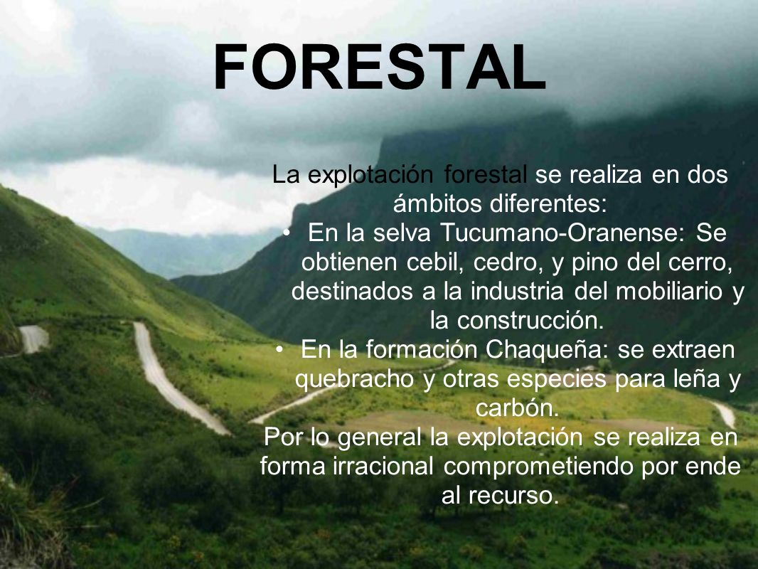 La explotación forestal se realiza en dos ámbitos diferentes:
